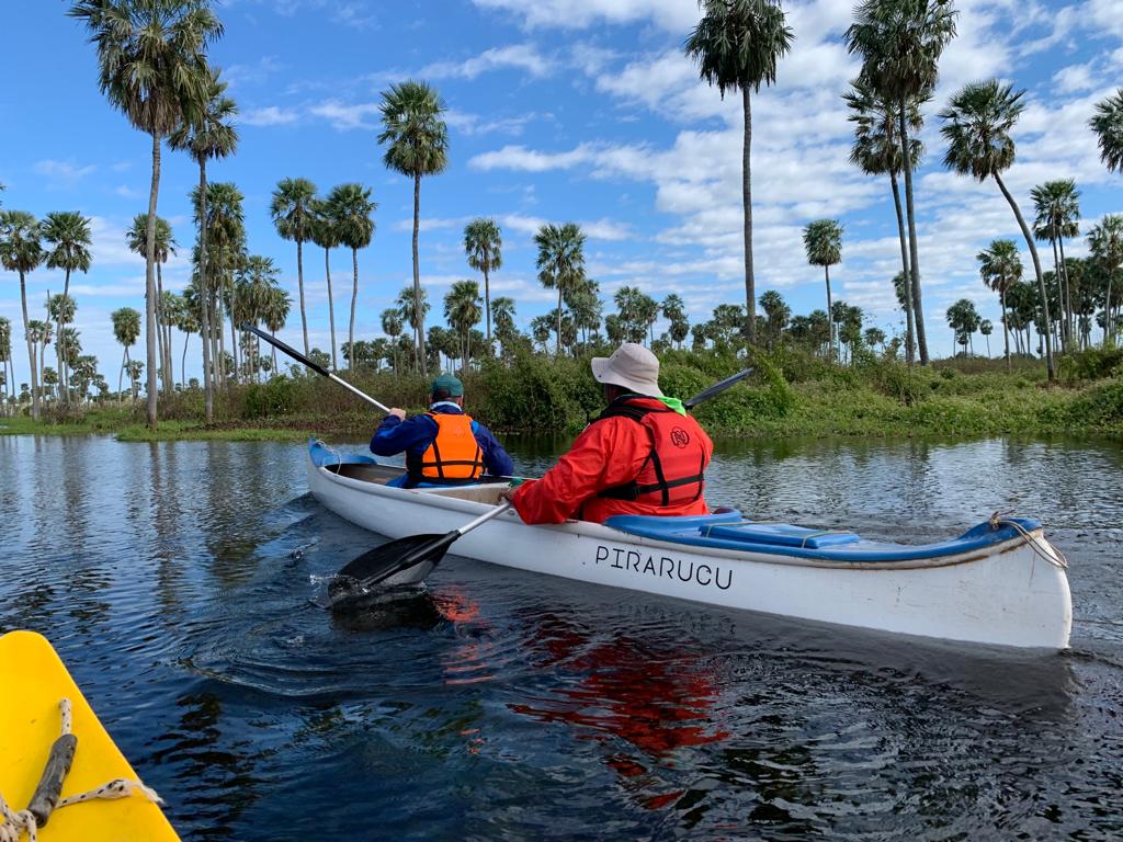 Paisaje de montaña 8