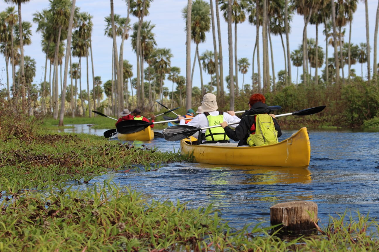 Paisaje de montaña 1