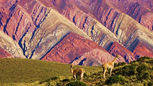 Paisaje de montaña 1