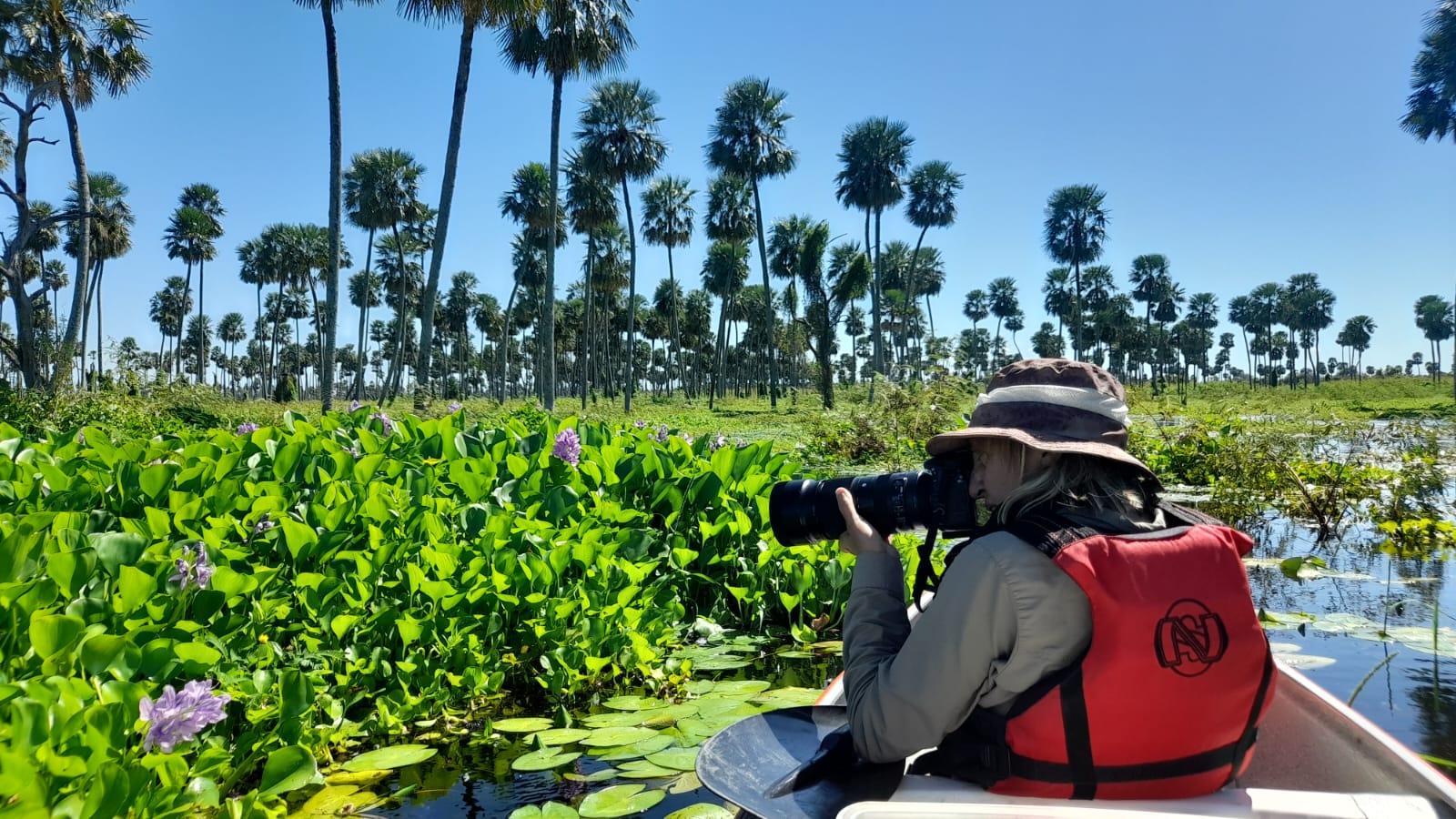 Paisaje de montaña 7