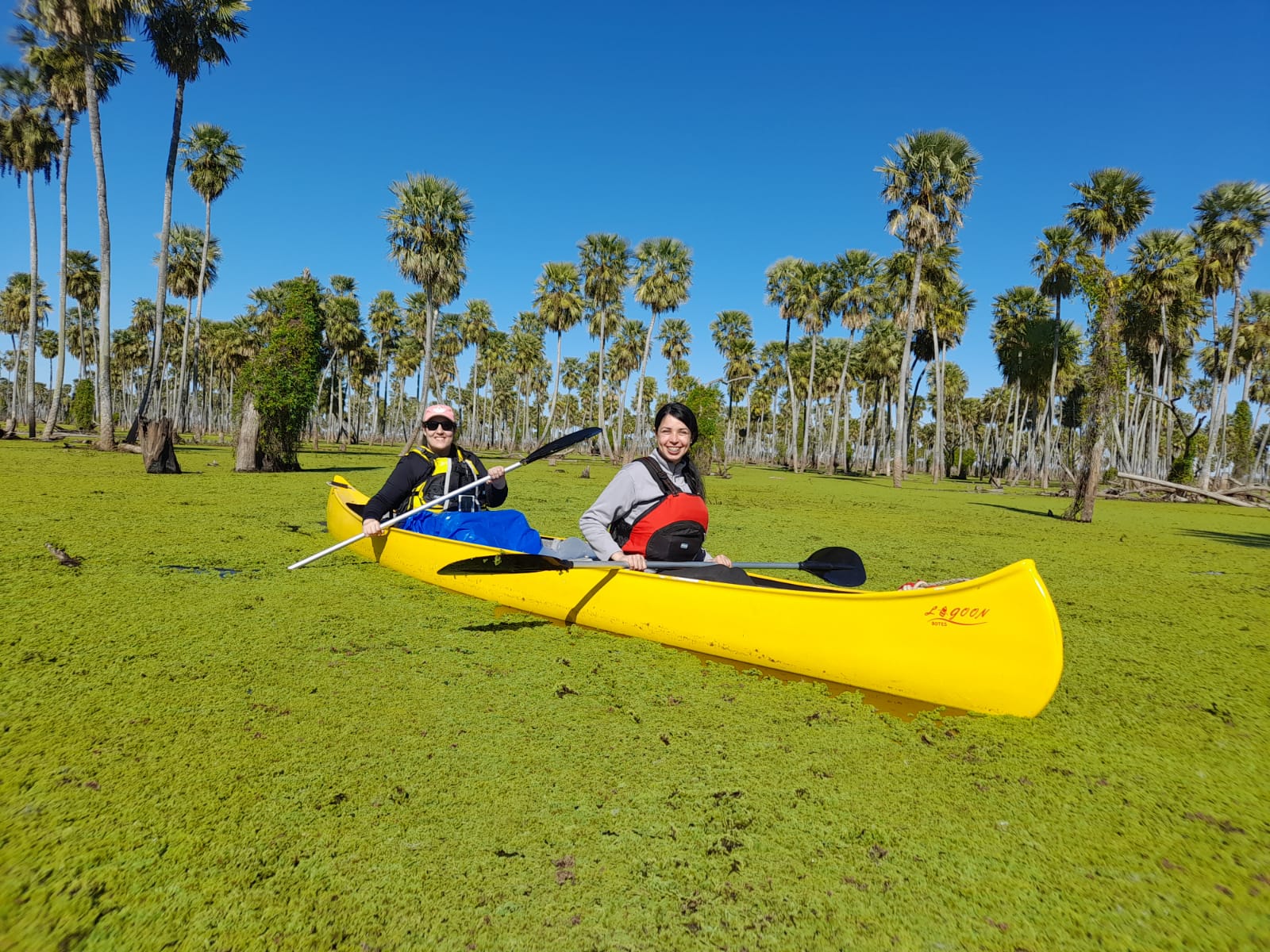Paisaje de montaña 10