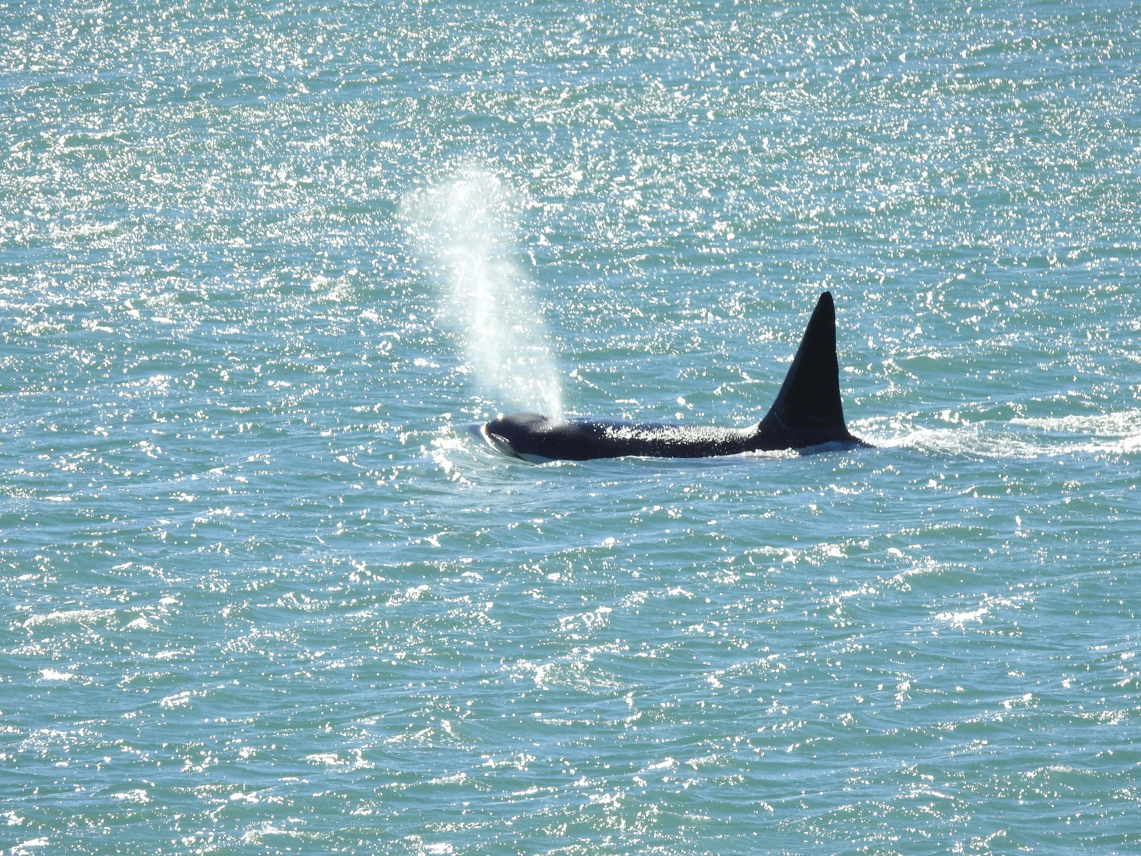 Paisaje de montaña 3