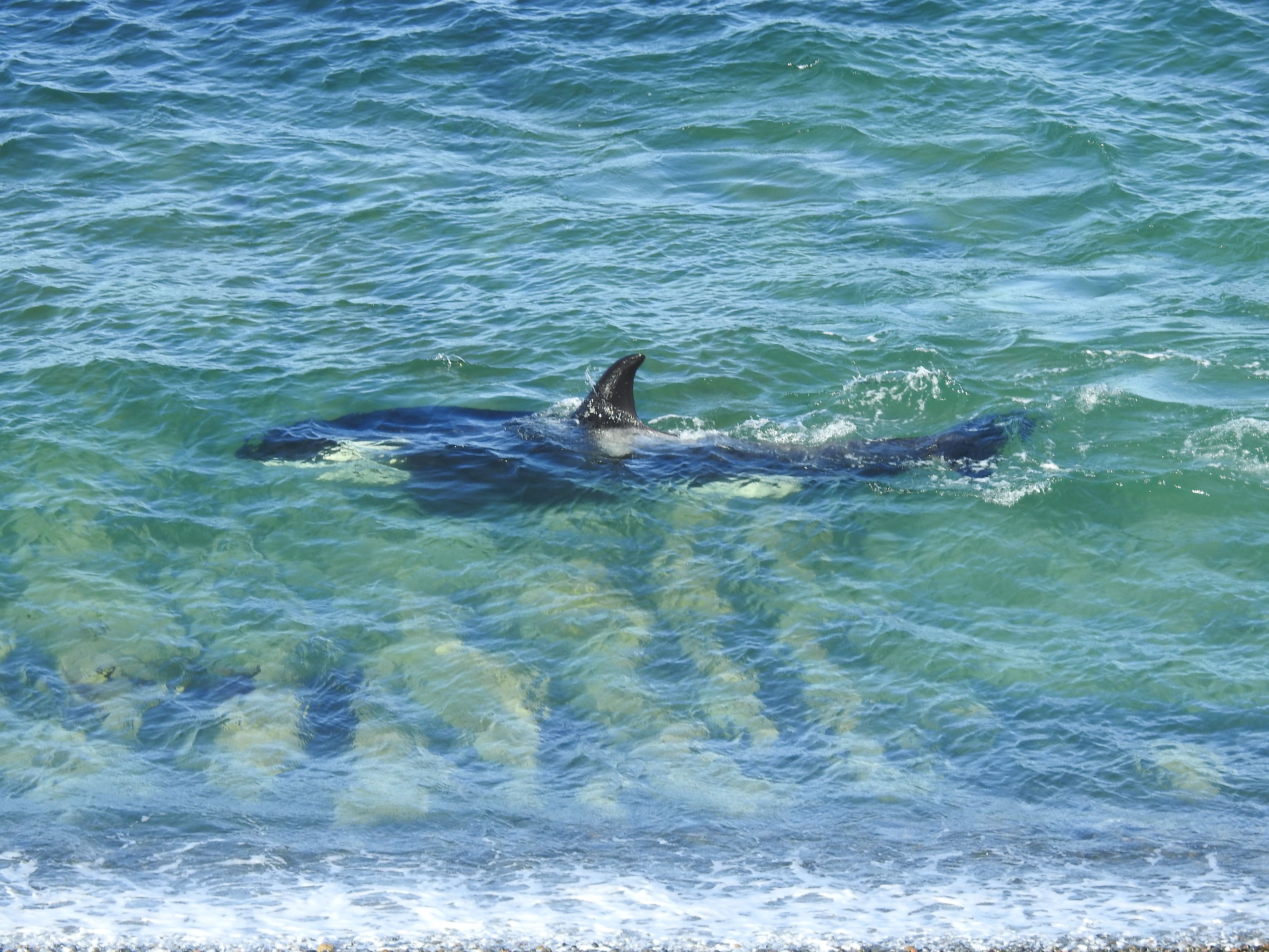 Paisaje de montaña 4