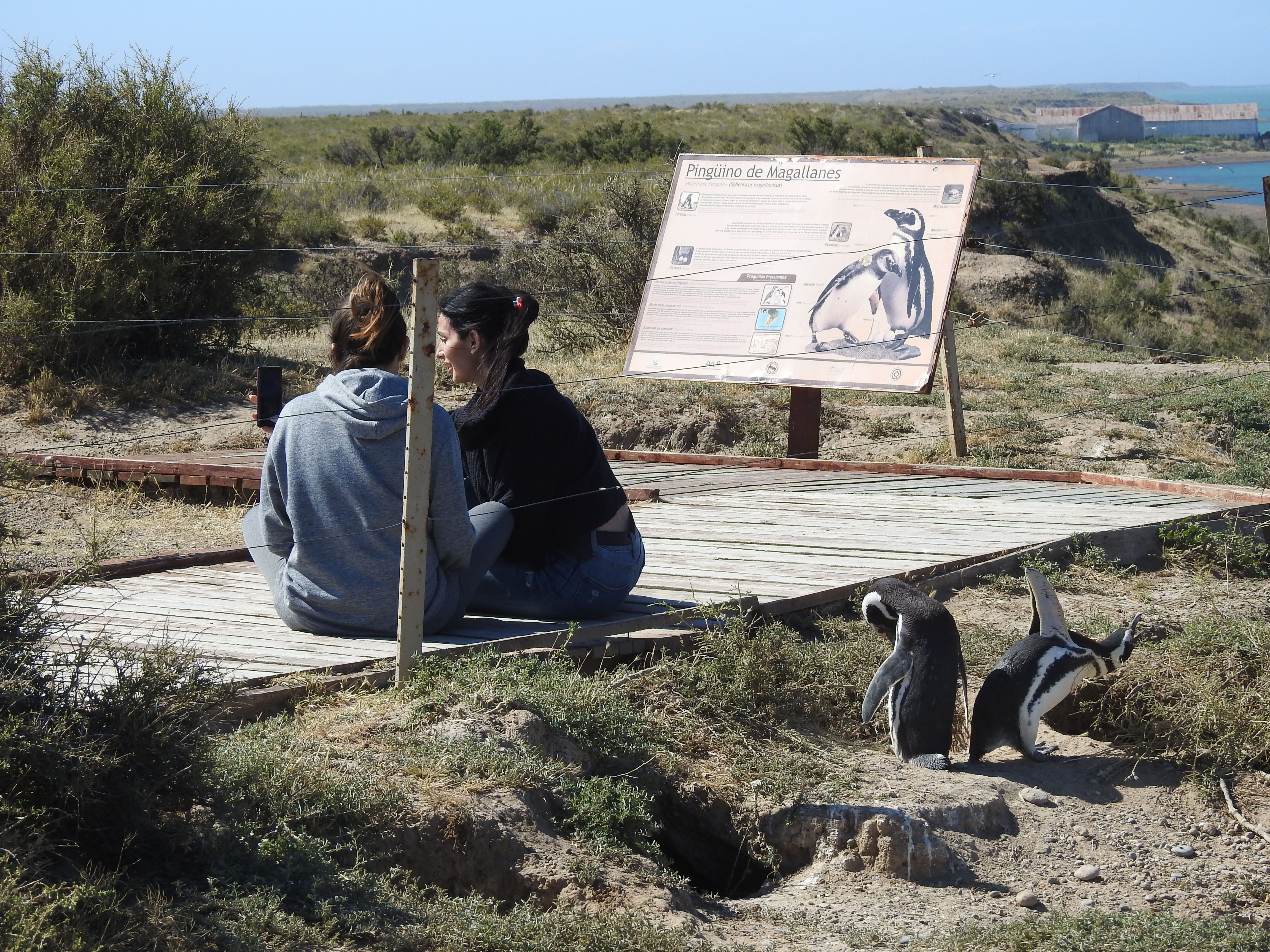 Paisaje de montaña 9