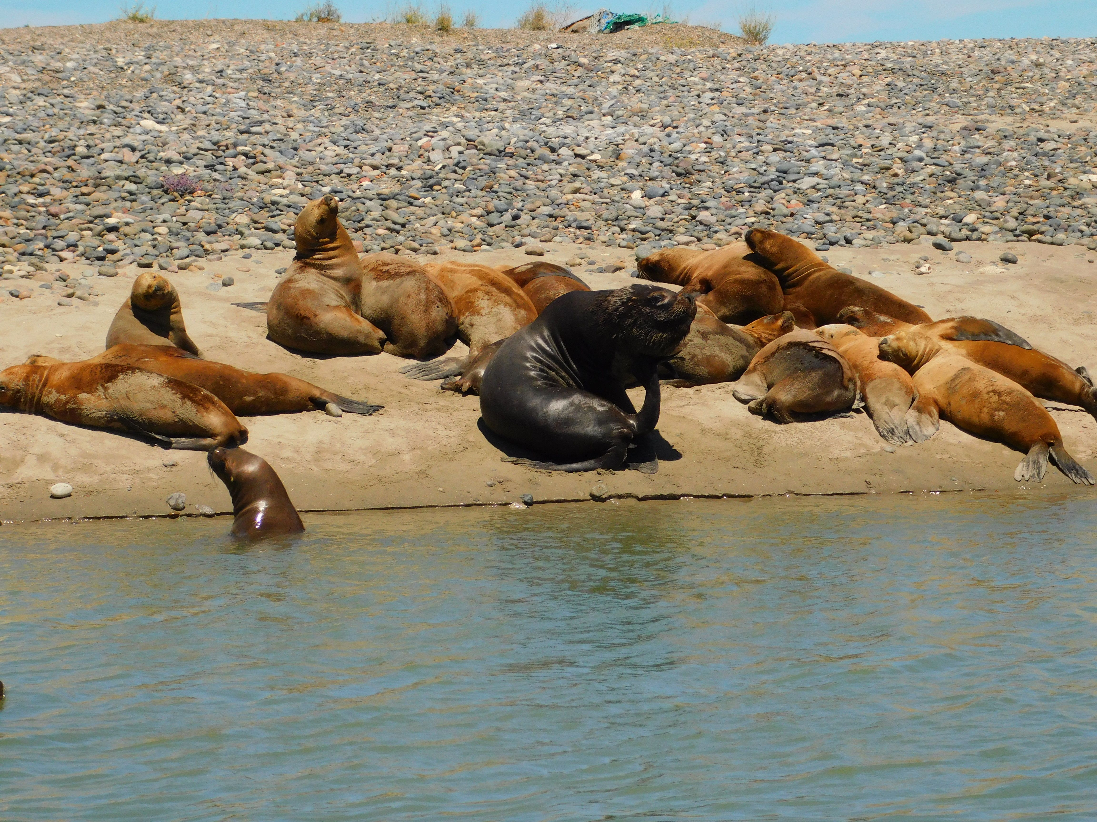 Paisaje de montaña 4