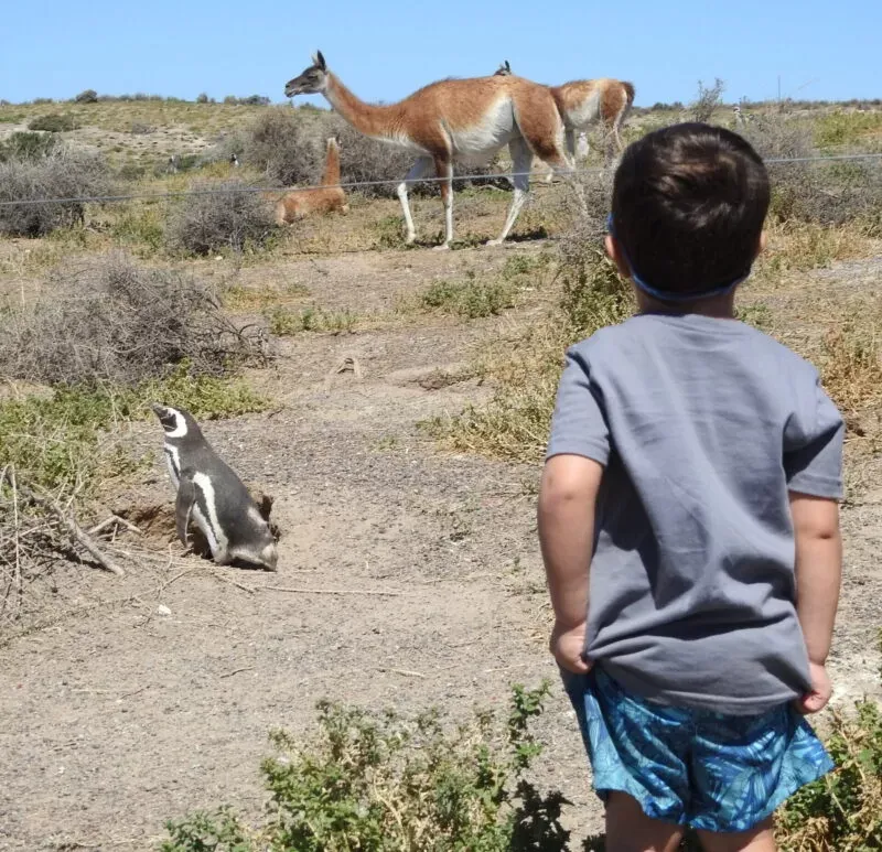 Paisaje de montaña 8