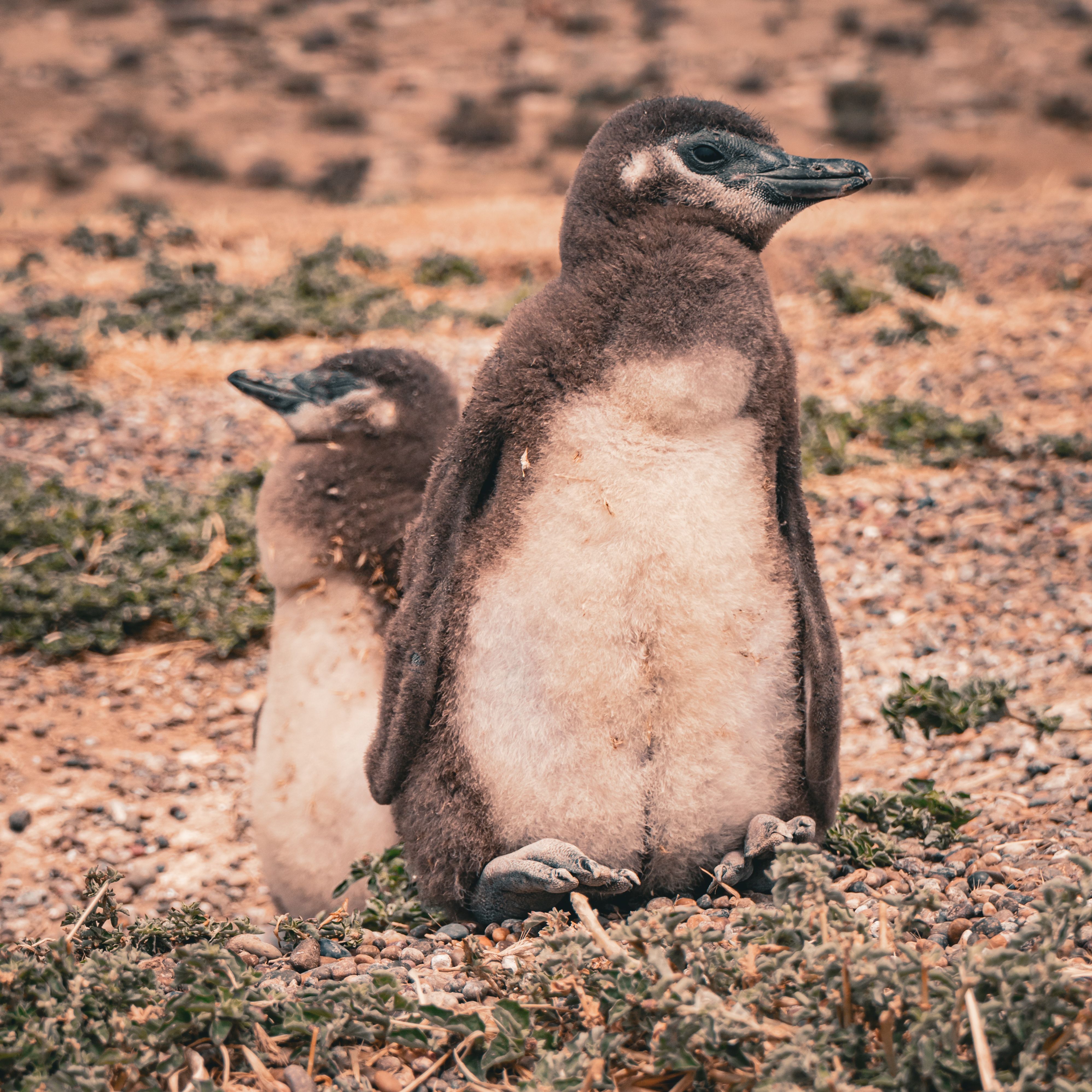 Paisaje de montaña 2