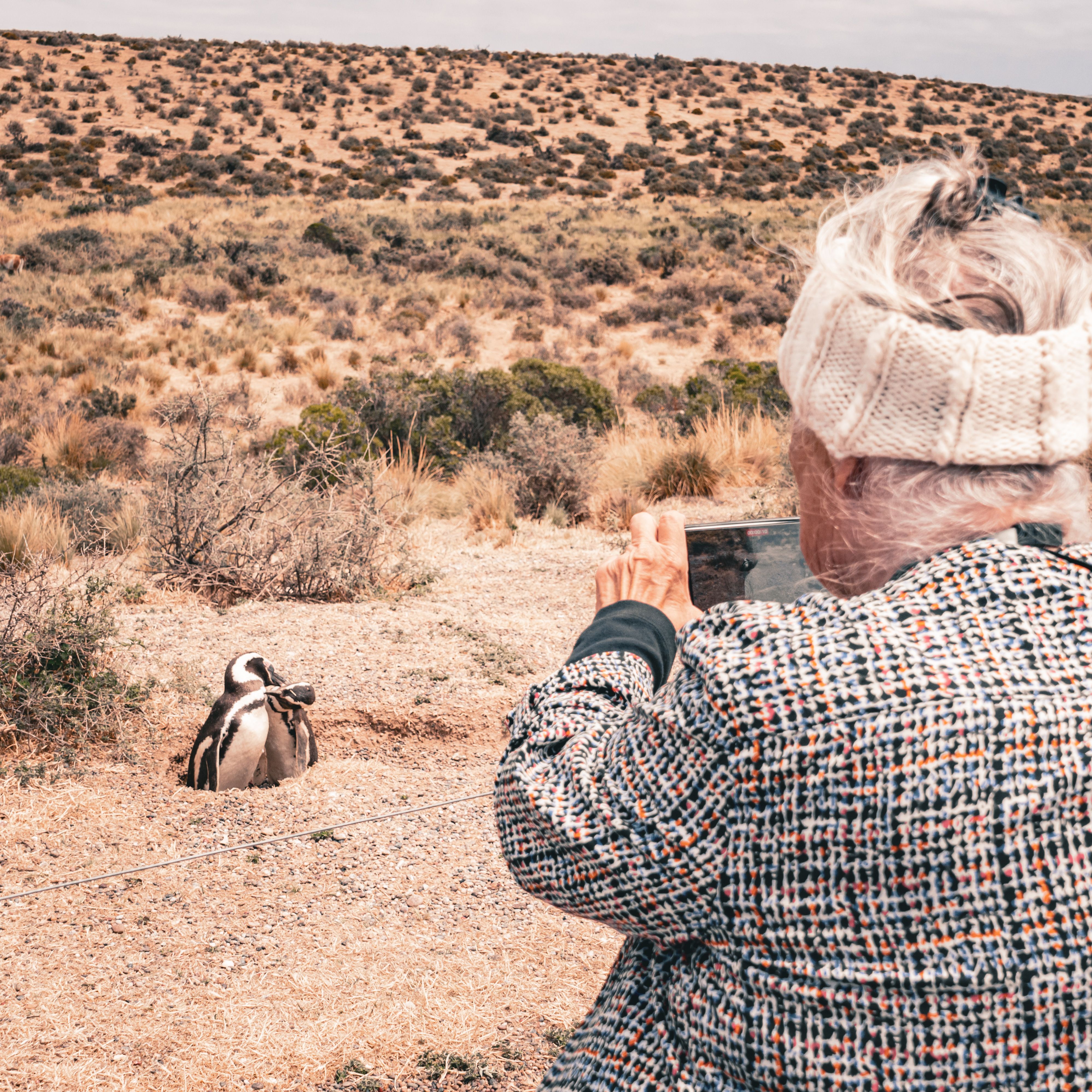 Paisaje de montaña 5