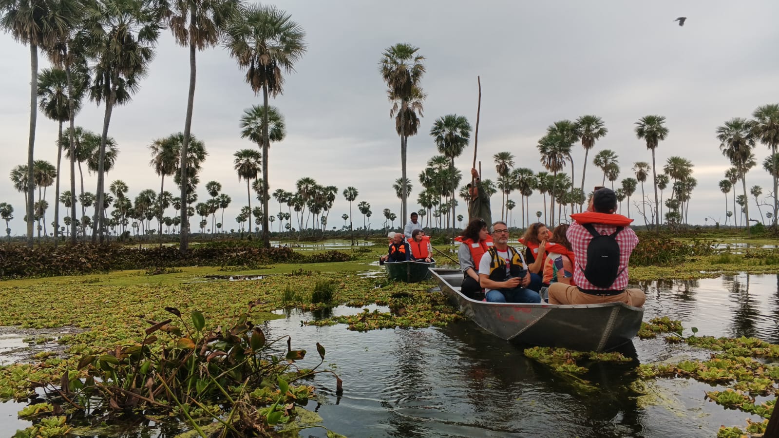 Paisaje de montaña 9