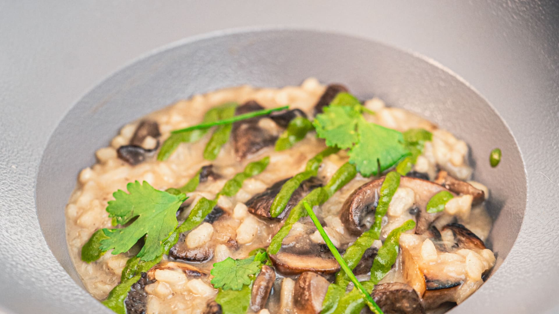 Paisaje de montaña 14