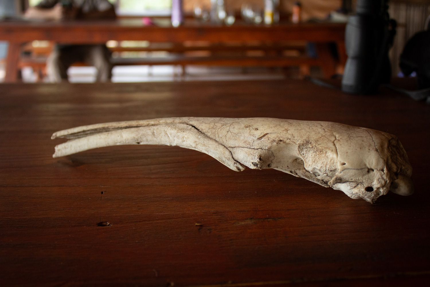 Paisaje de montaña 18