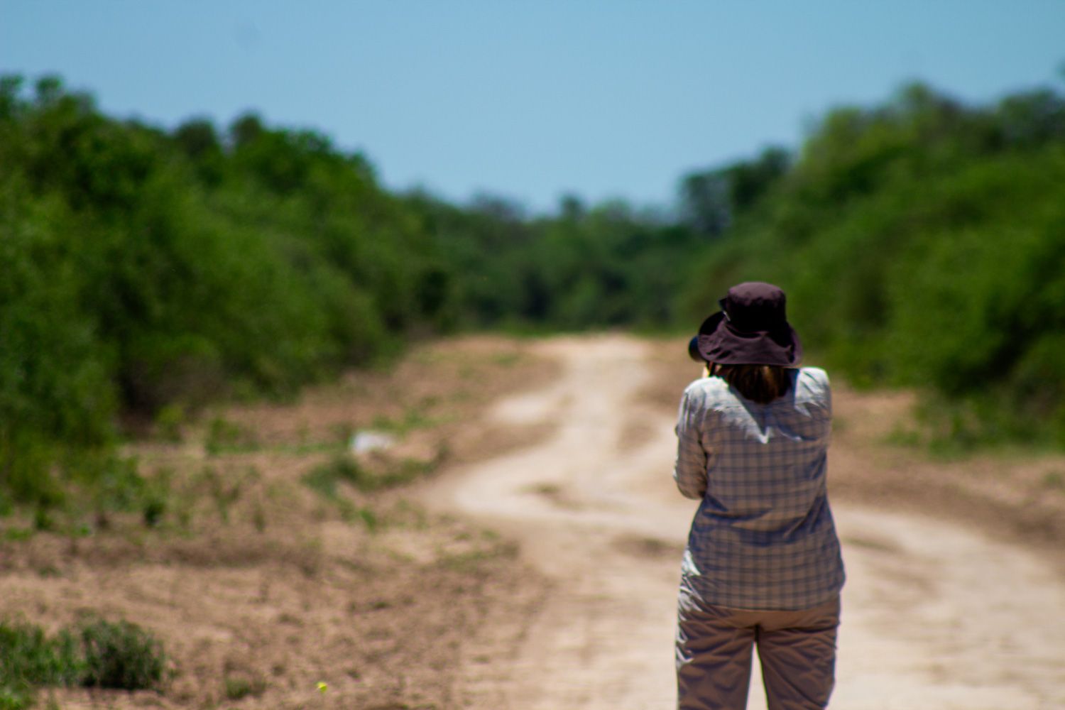 Paisaje de montaña 14