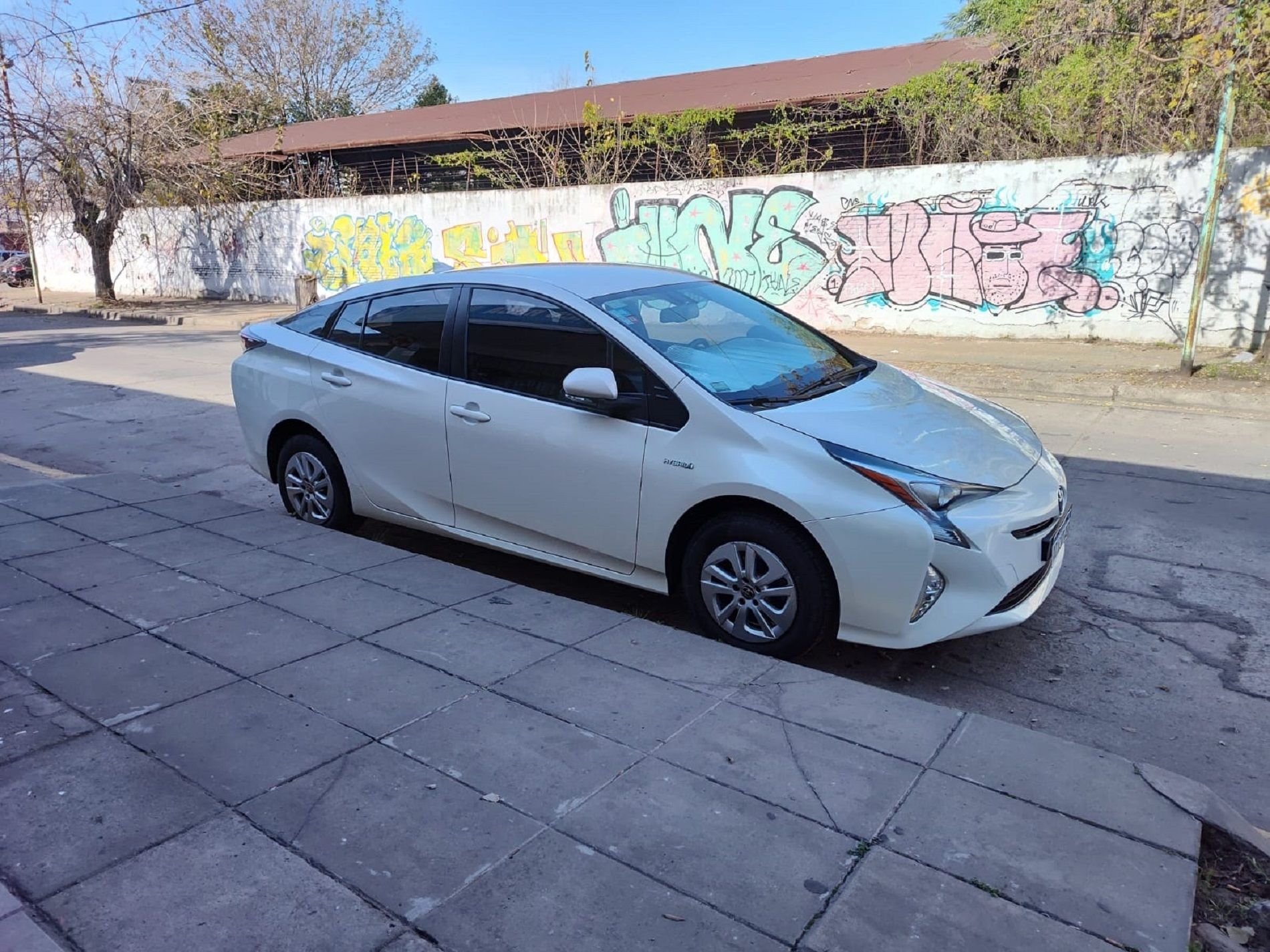 Paisaje de montaña 5