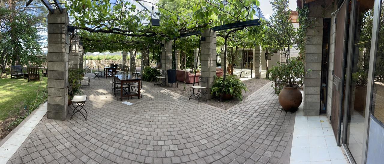 Paisaje de montaña 9