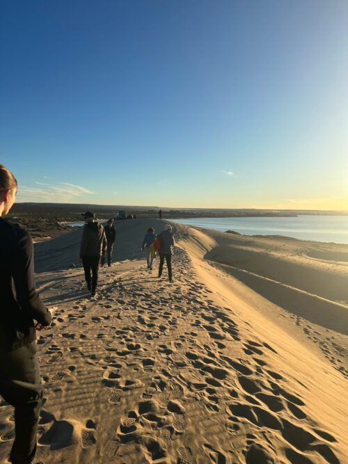 Paisaje de montaña 7