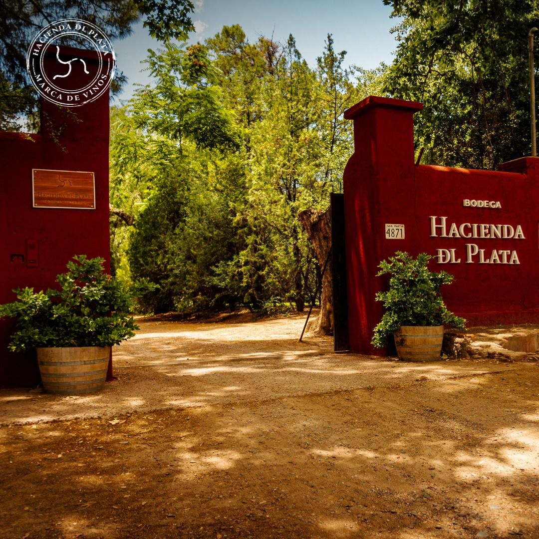 Paisaje de montaña 6