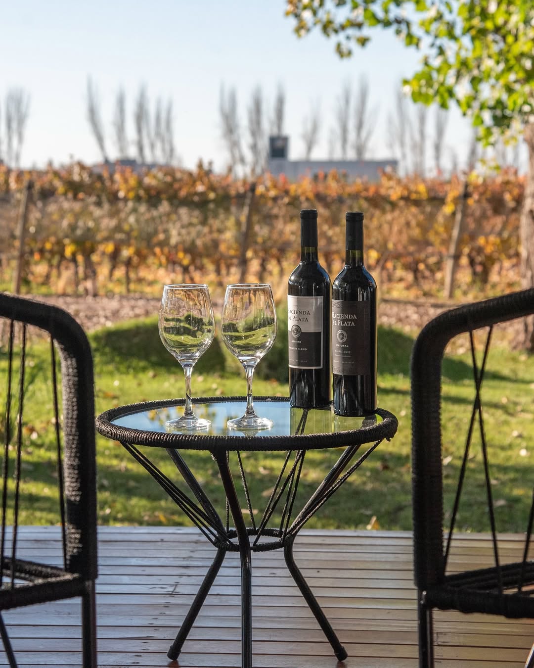 Paisaje de montaña 1