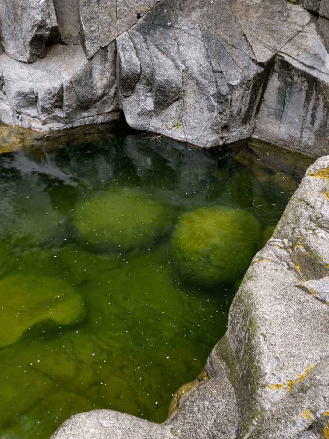 Paisaje de montaña 9