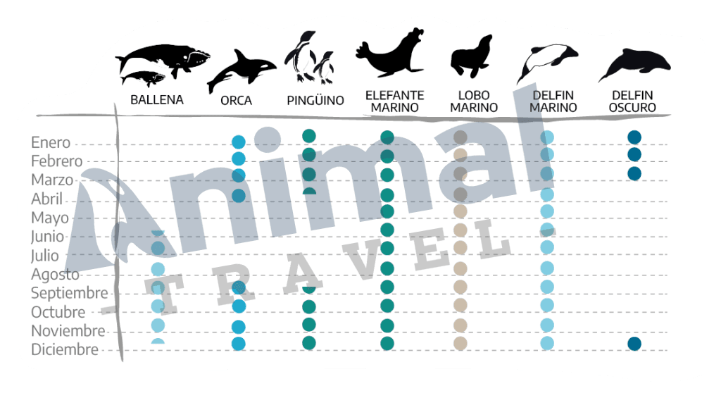 Paisaje de montaña 7