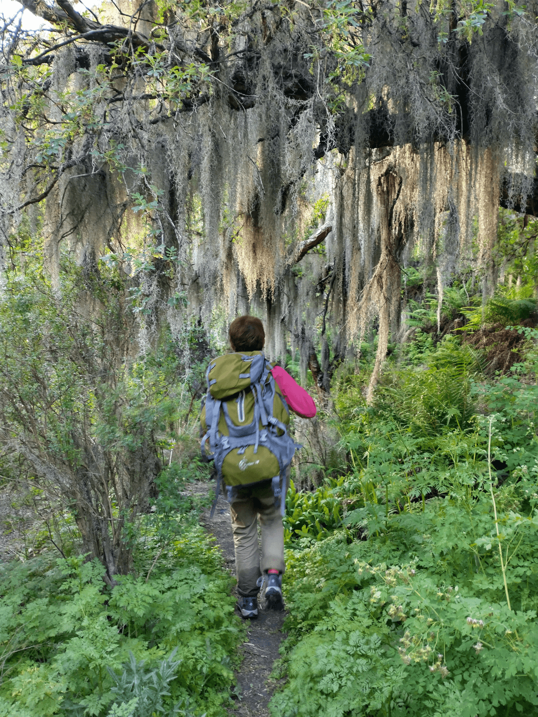 Paisaje de montaña 2