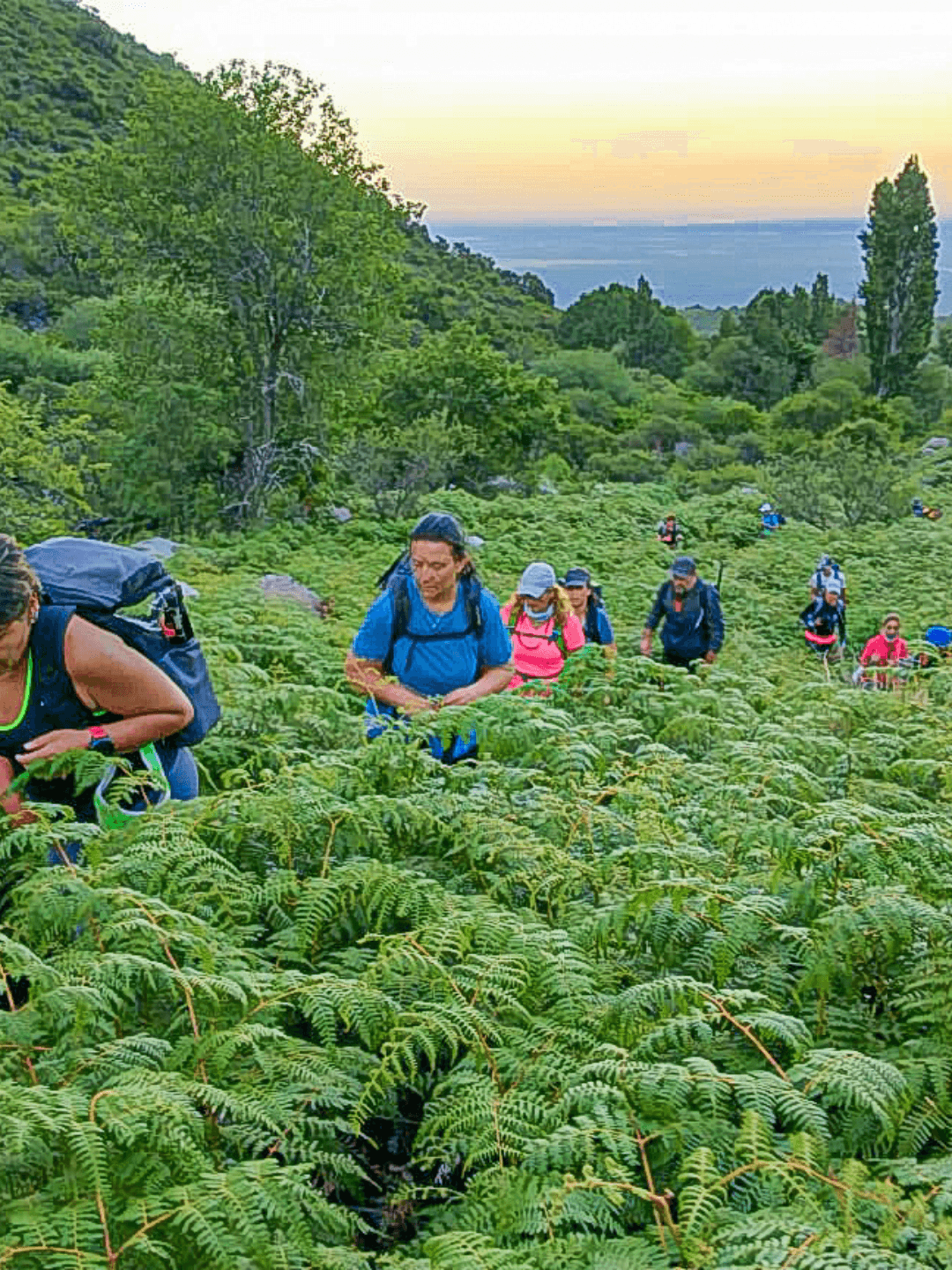 Paisaje de montaña 5