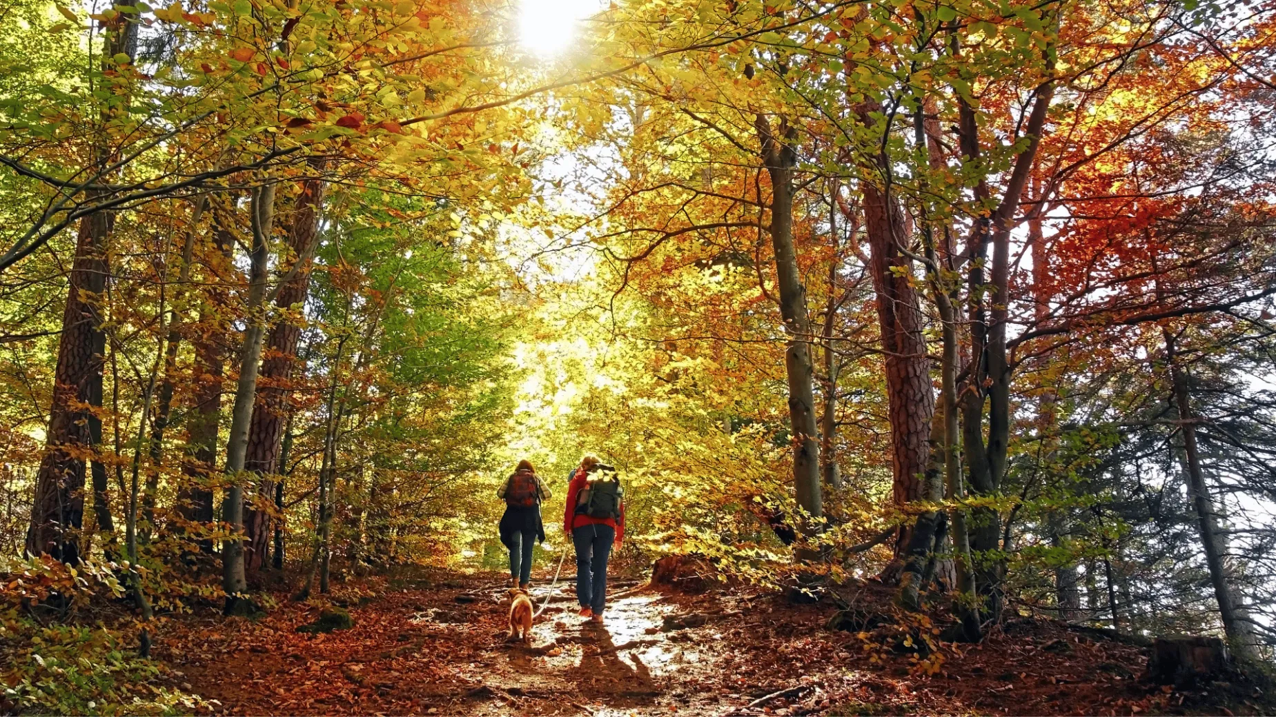 Explora cada sendero y vive la emoción en tierra firme
