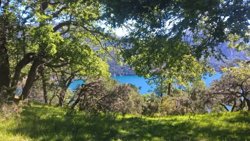 Paisaje de montaña 8