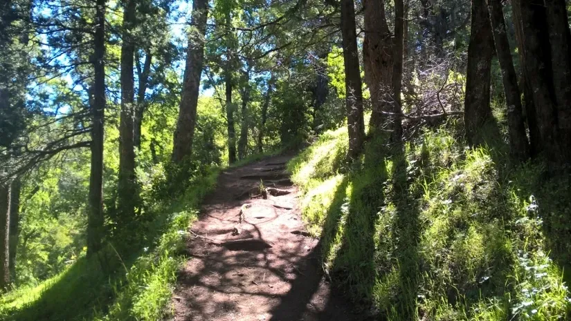 Paisaje de montaña 9