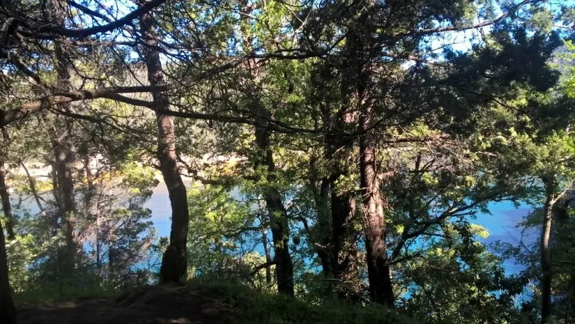 Paisaje de montaña 10