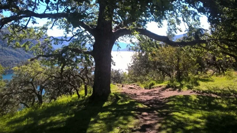 Paisaje de montaña 11