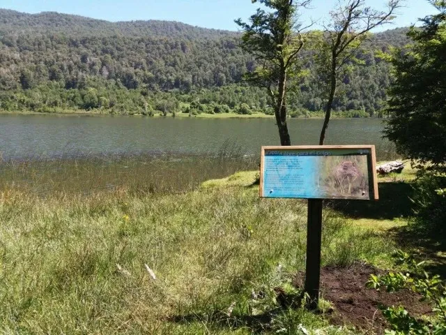 Paisaje de montaña 8