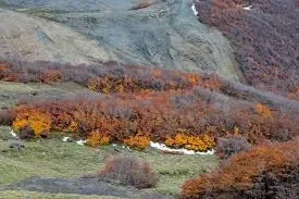 Paisaje de montaña 6