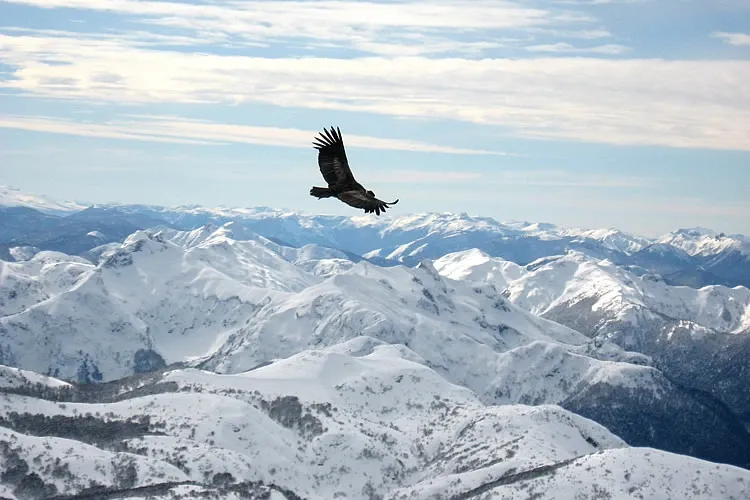 Paisaje de montaña 16