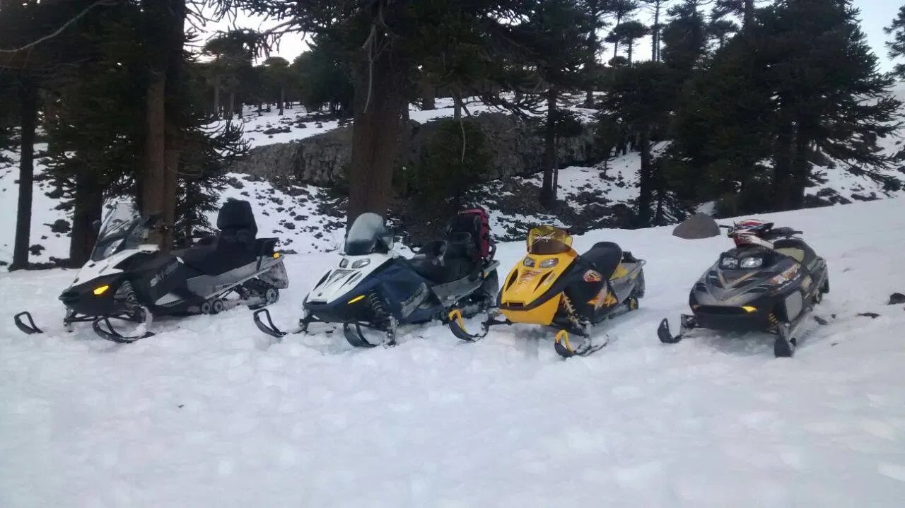 Paisaje de montaña 13