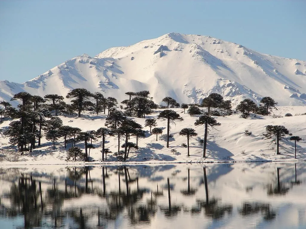 Paisaje de montaña 16