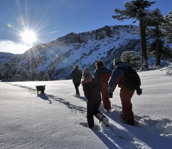 Paisaje de montaña 4