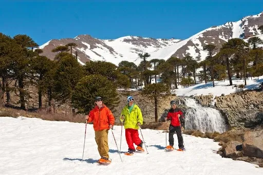 Paisaje de montaña 1