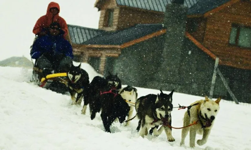 Paisaje de montaña 5