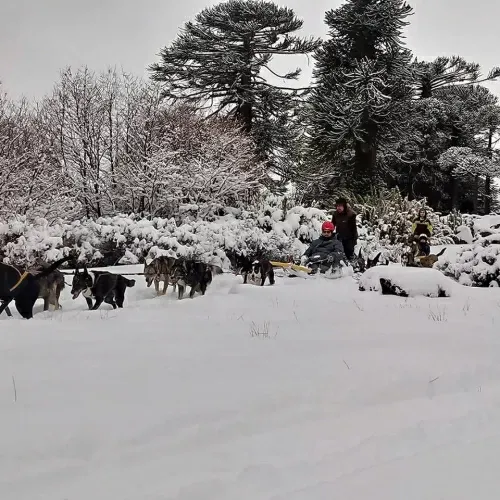 Paisaje de montaña 7