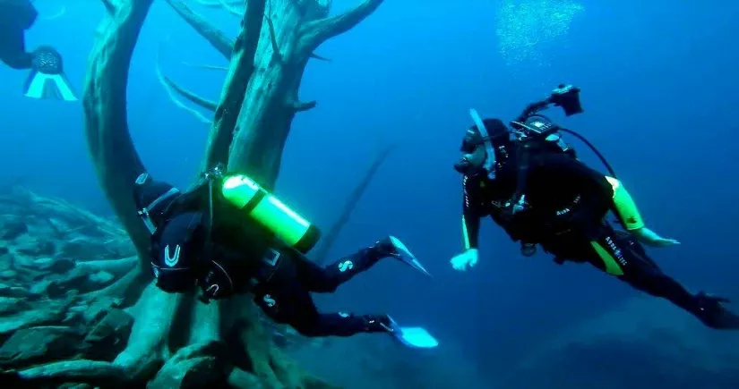 Paisaje de montaña 6