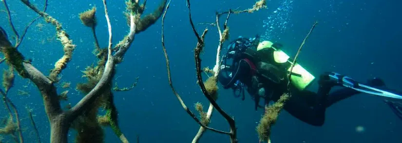 Paisaje de montaña 7