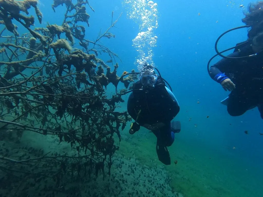 Paisaje de montaña 8