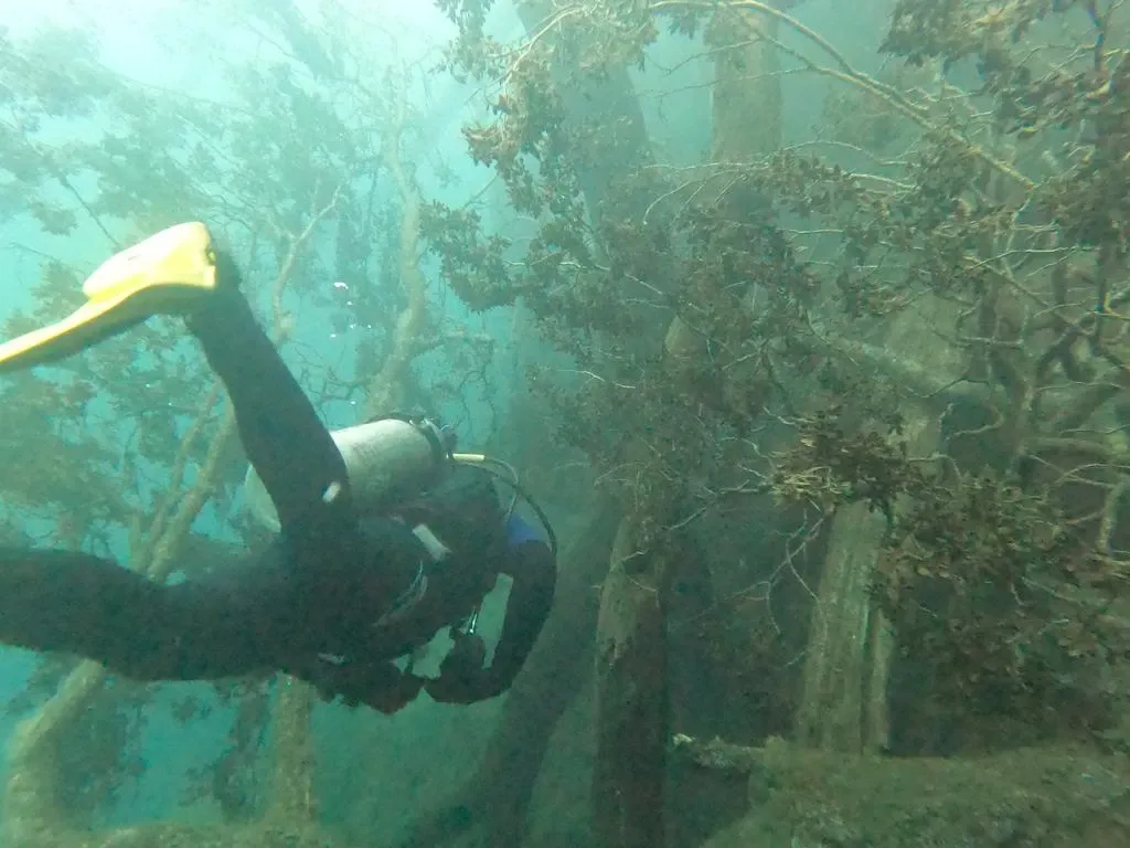 Paisaje de montaña 9