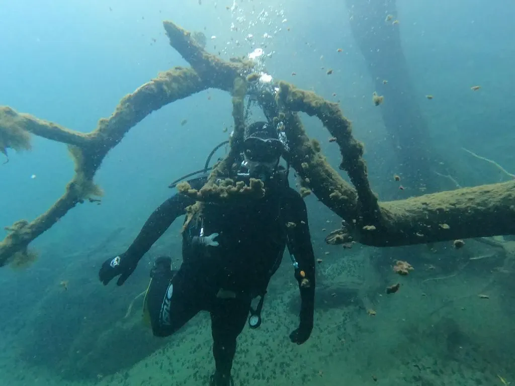 Paisaje de montaña 10