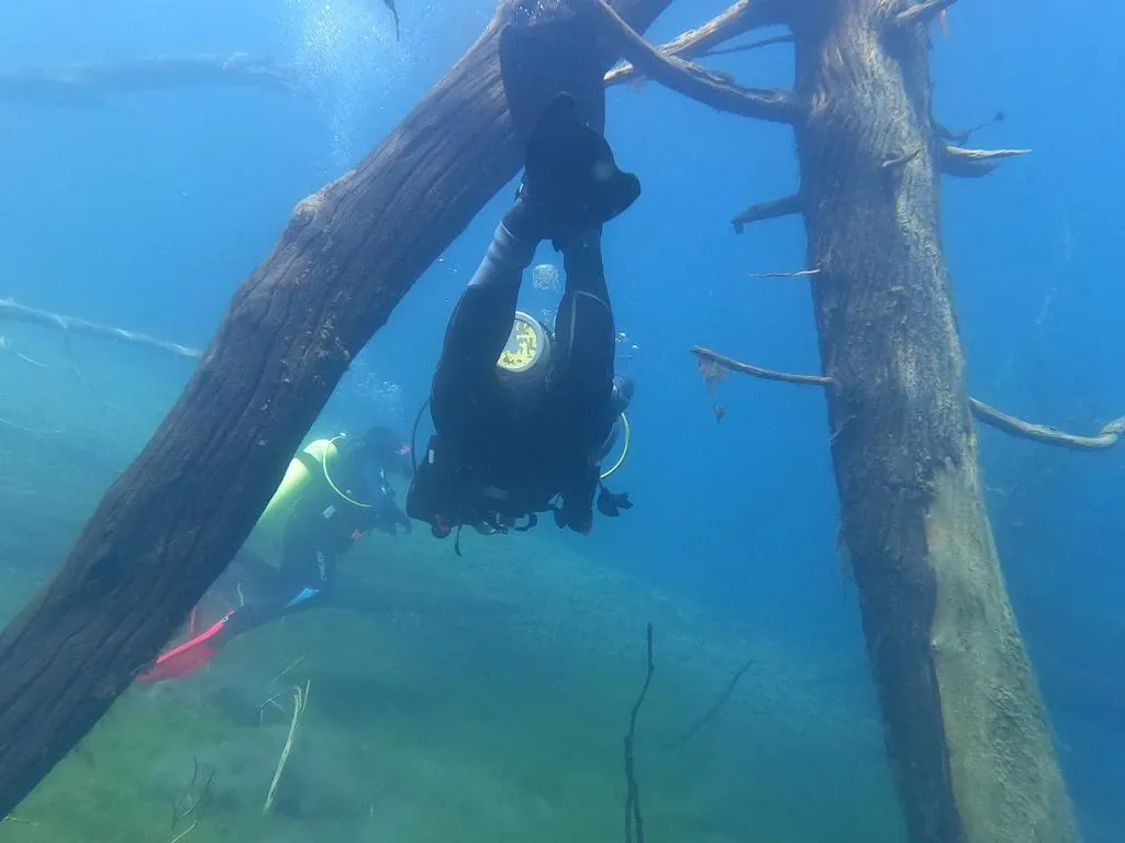 Paisaje de montaña 11