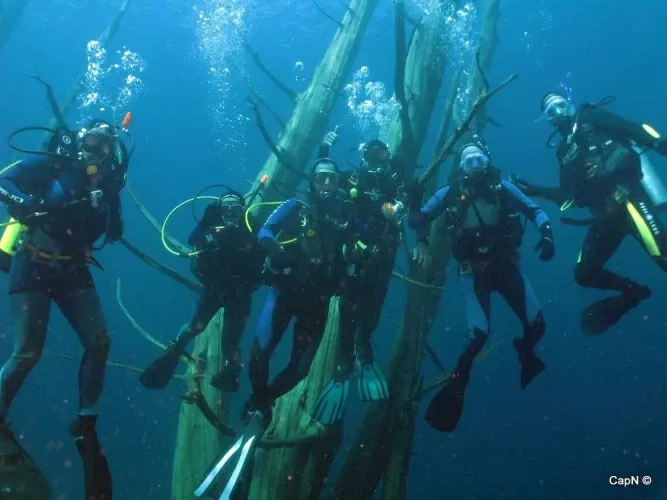 Paisaje de montaña 4