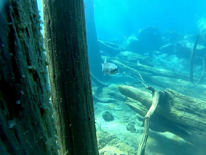 Paisaje de montaña 10