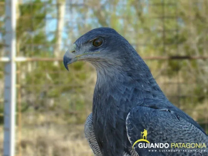 Paisaje de montaña 5