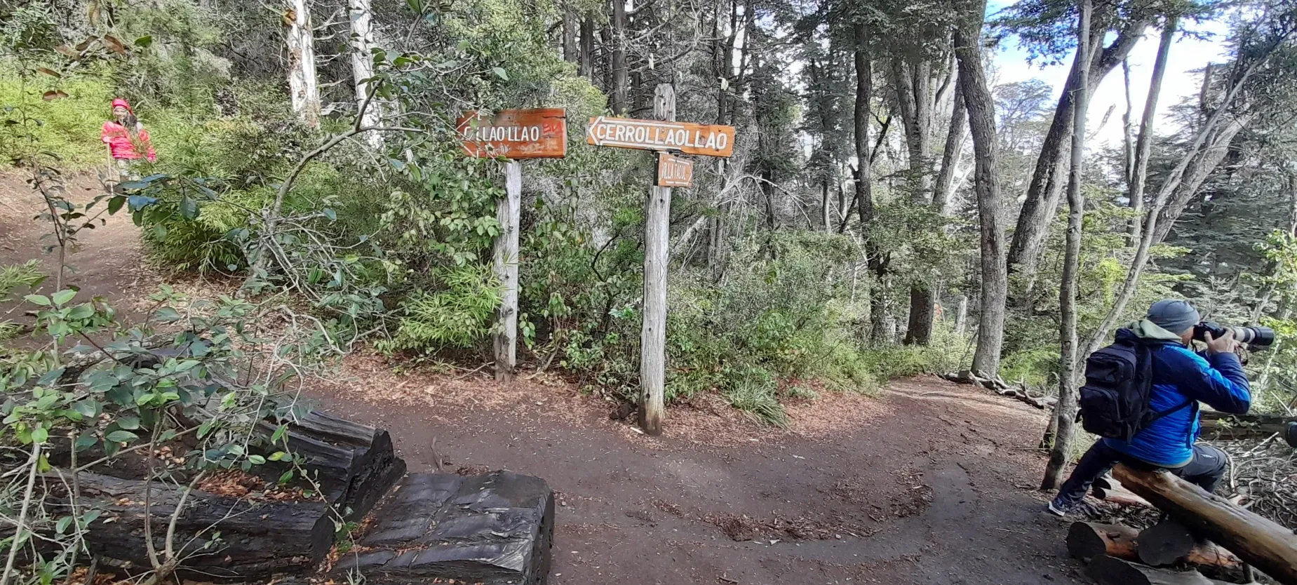 Paisaje de montaña 7