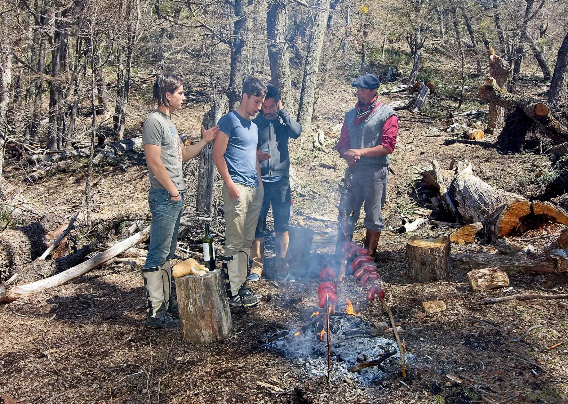 Paisaje de montaña 5